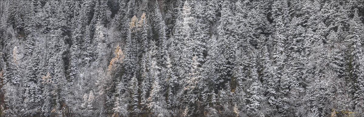 Peter Bellingham Photography Jiuzhaigou National Park - China (PBH4 00 15770)